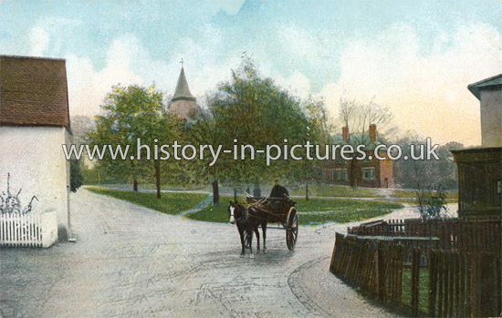 The Green, Wethersfield, Essex. c.1906